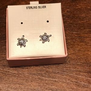 Girl’s Pierced Turtle Earring